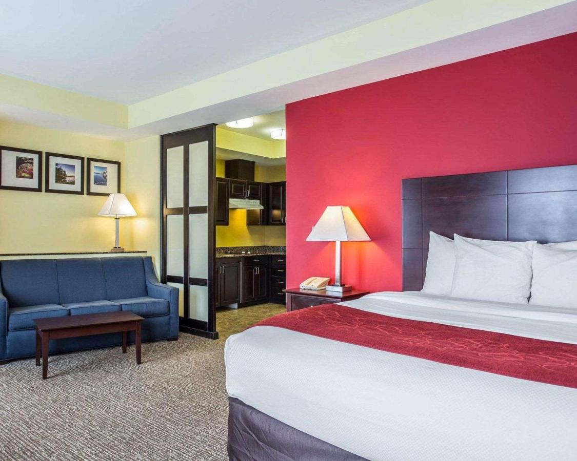 Comfort Suites Rock Hill Manchester Meadows Area Kültér fotó